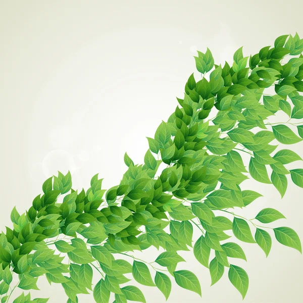 绿叶分枝 — 图库矢量图片