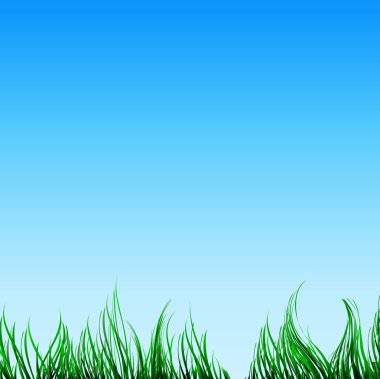 yeşil çimenler ve mavi bir gökyüzü