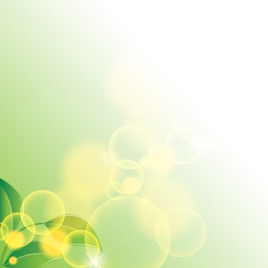 yeşil yaprakları ve sarı kabarcıklar ile şube