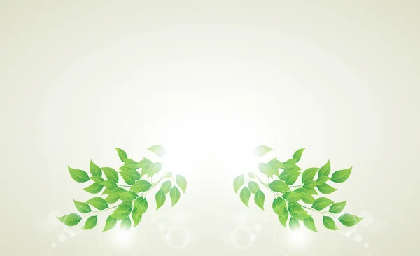 Rama con hojas verdes frescas — Archivo Imágenes Vectoriales