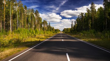 Akşam yaz orman yolu ve bulutlu gökyüzü