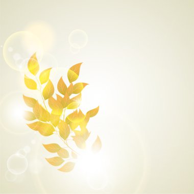 güzel sonbahar arka plan