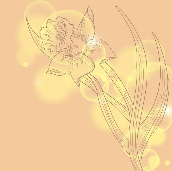 Flor de daffodil ou narciso sobre fundo amarelo — Vetor de Stock