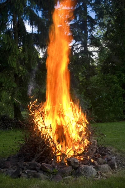 Portrait de feu de joie Images De Stock Libres De Droits