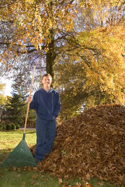 Rastrillar hojas adolescente chico al lado de hoja pila —  Fotos de Stock