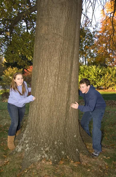 Rastrillar hojas chico y chica escondiéndose detrás del árbol —  Fotos de Stock