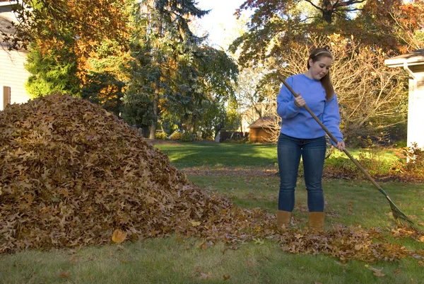 Raking Leaves ragazza accanto al mucchio di foglie Foto Stock Royalty Free