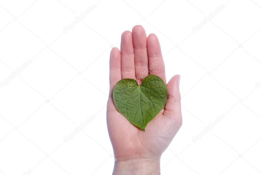 Heart Shaped Leaf in Girls Hand