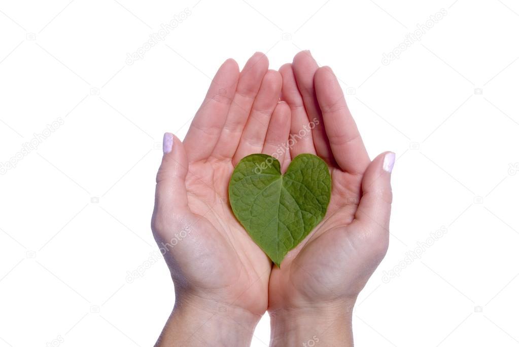 Heart Shaped Leaf in Girls Hands