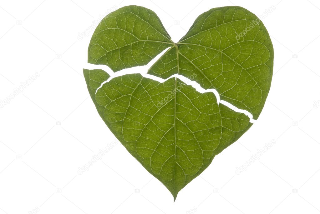 Heart Shaped Leaf Broken