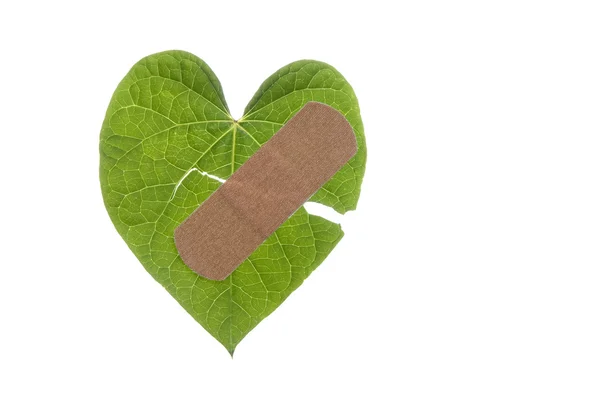 Hoja en forma de corazón roto con Bandaid —  Fotos de Stock