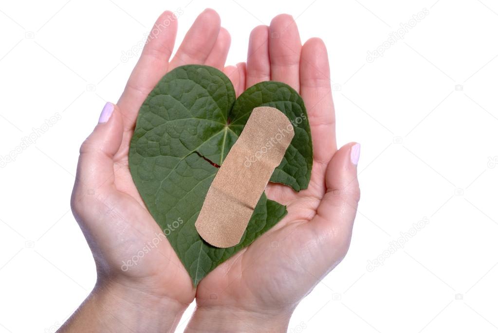 Heart Shaped Leaf Broken Bandaid Girls Hands