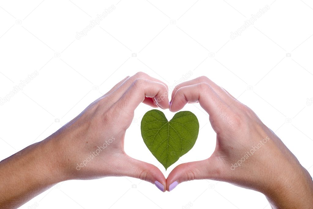 Heart Shaped Leaf Outlined by Girls Hands