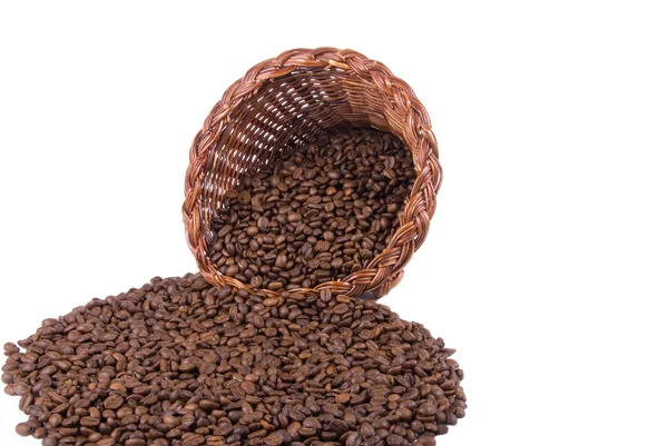 Coffee Cornucopia Front Wide — Stock Photo, Image