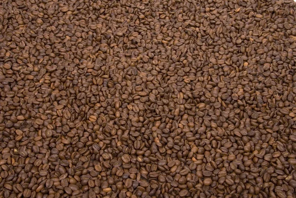 Fondo del grano de café — Foto de Stock