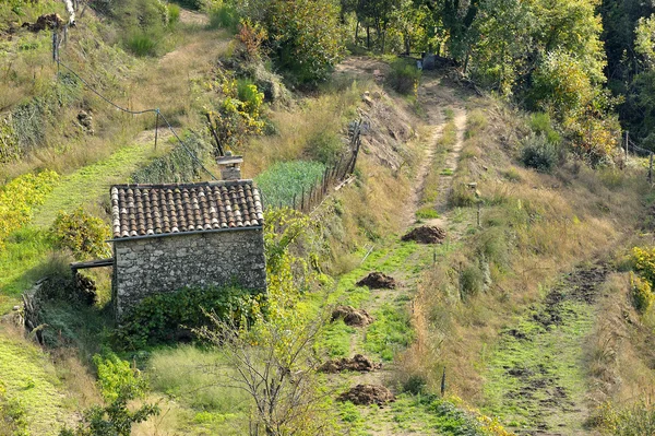 Az őszi színek — Stock Fotó