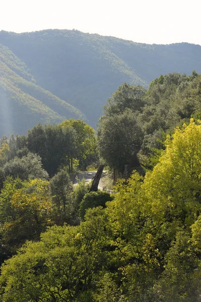 Colori dell'autunno — Foto Stock