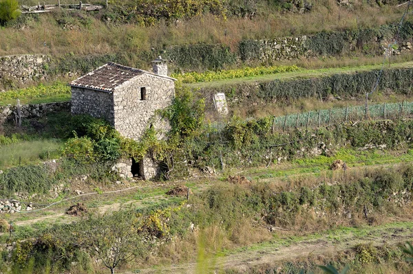 Sonbahar renkleri — Stok fotoğraf