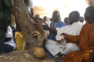 burkina Faso olağan bir şef kurulması