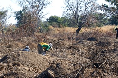 döker altın madeni ile