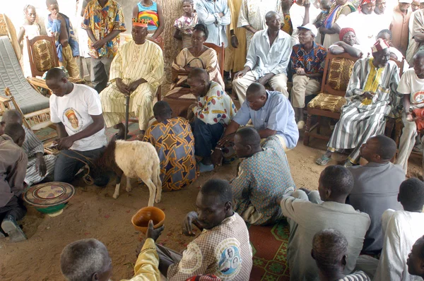 Ustanowienie zwykle szef w burkina faso — Zdjęcie stockowe