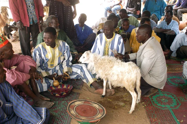 Estabelecimento de um chefe habitual em Burkina Faso — Fotografia de Stock