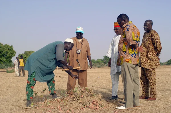 Waterfinder met werk — Stockfoto