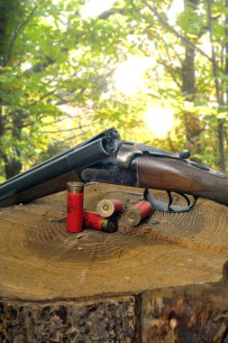 av tüfeği ve kartuşların