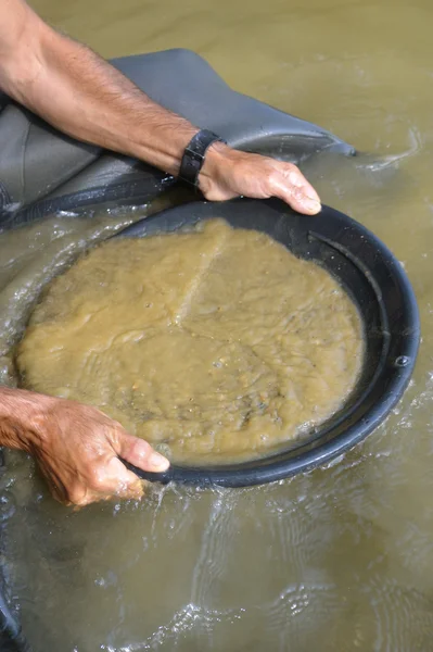 Lavado de oro en el río — Foto de Stock