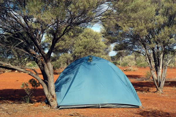 Wildnis-Zelten im australischen Busch — Stockfoto