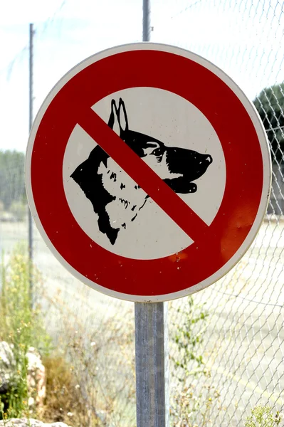 Panelu zabronione z psem — Zdjęcie stockowe