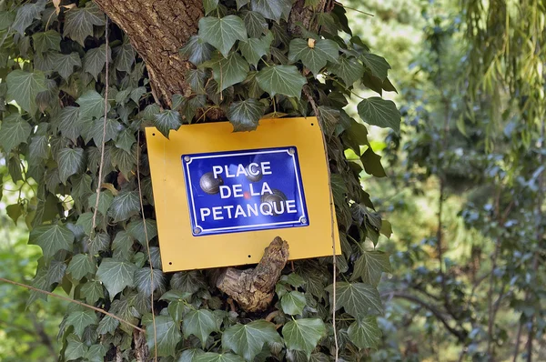 Obytné hrát hru z mísy — Stock fotografie