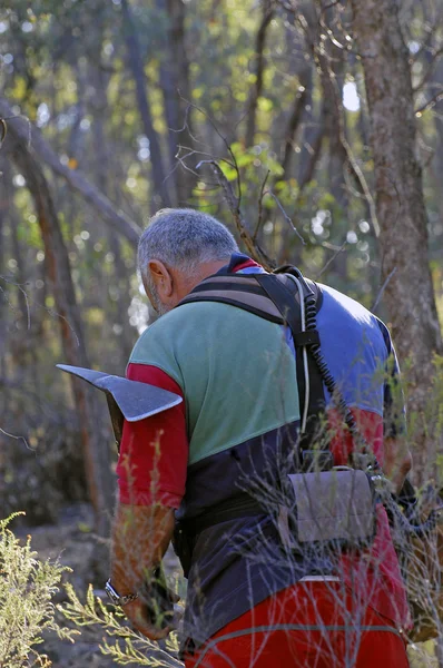 Золотоискатель в лесу в районе Мельбурна — стоковое фото
