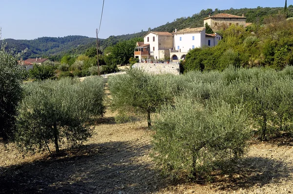 Fransız gard bölümü cevennes peyzaj