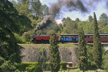 küçük turistik tren cevennes bir Anduze