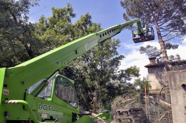 çapraz tehlikeli hale büyük ağaç