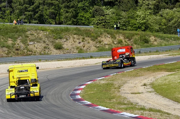 格兰披治大赛车的法国卡车 2013 — 图库照片