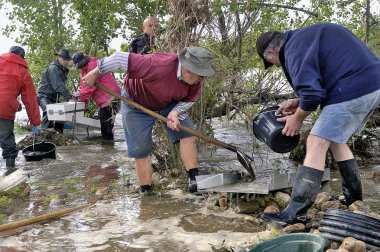 gold diggers Irmağı'nın Avrupa Kupası.