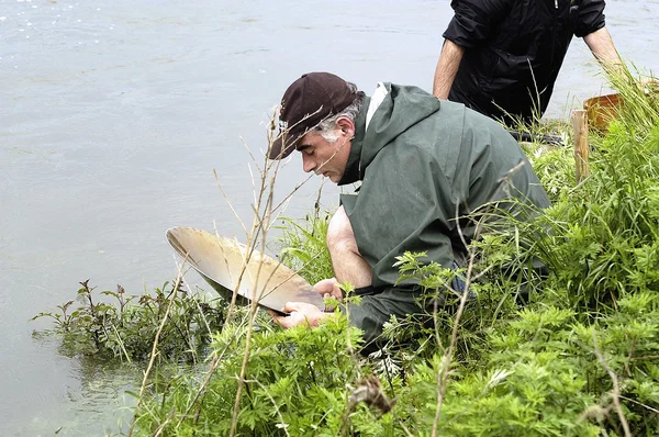 Europapokal der Goldgräber im Fluss. — Stockfoto