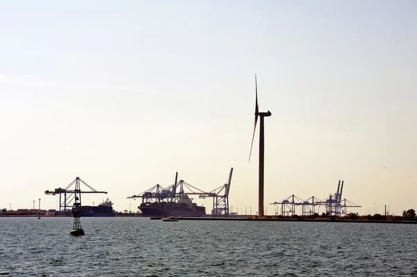 Carry containers to quay — Stock Photo, Image