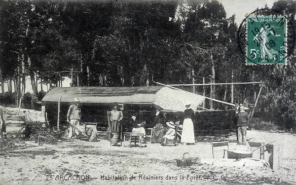 Cartão postal velho de Arcachon, residências resinier na floresta — Fotografia de Stock