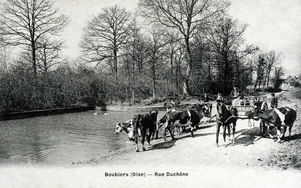 Old postcard of Boubiers, Duchene street — Stock Photo, Image