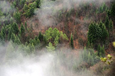 Cevennes Sıradağları