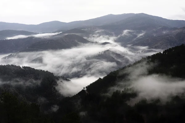 Pasmo górskie Cevennes — Zdjęcie stockowe