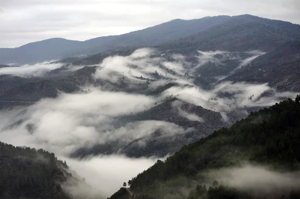 Pasmo górskie Cevennes — Zdjęcie stockowe