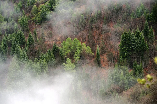 Cordilheira de Cevennes — Fotografia de Stock