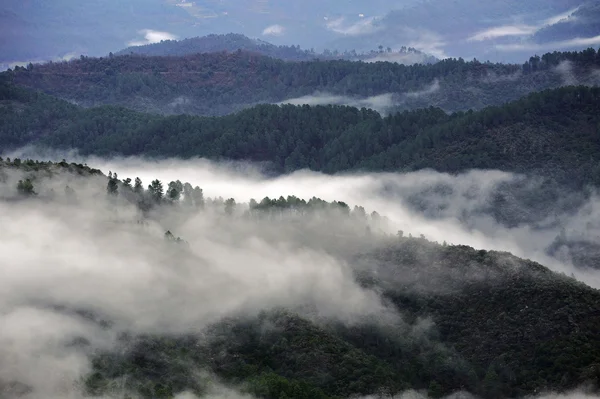 Pasmo górskie Cevennes — Zdjęcie stockowe