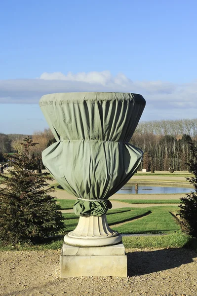 花瓶凡尔赛宫公园在冬天 — 图库照片