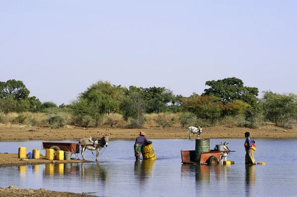 Lago — Fotografia de Stock