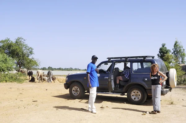 Busch in Burkina Faso — Stockfoto